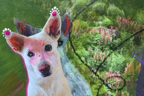 Sweet Maggie | Tails + Tales